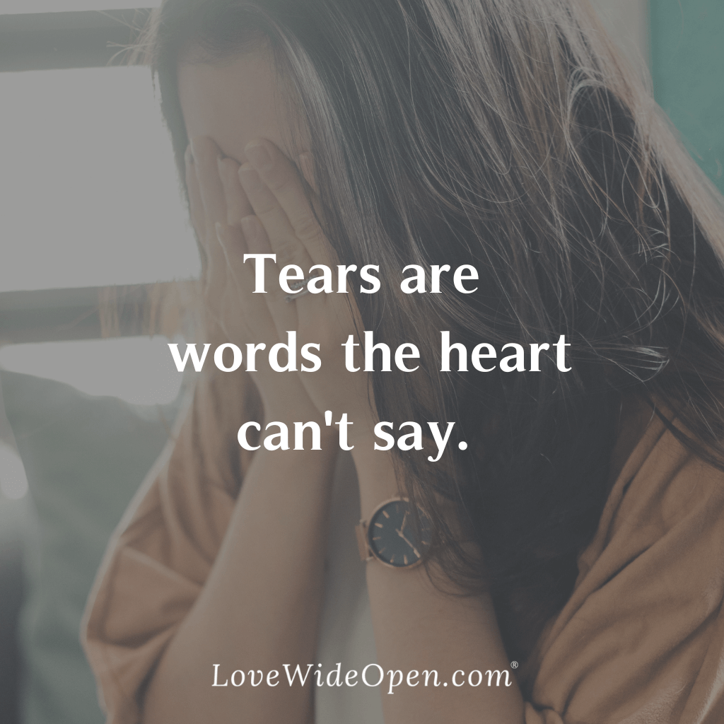 Tears are words the heart can't say