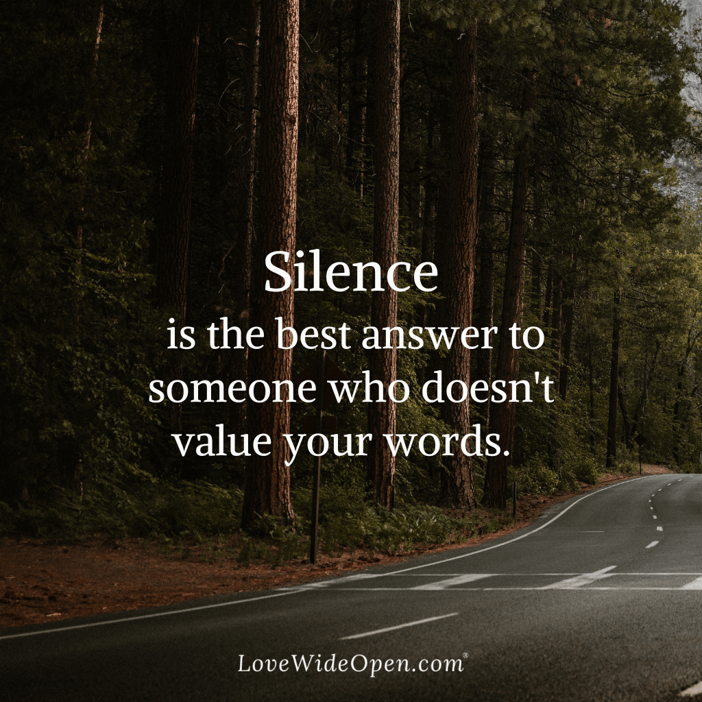 Silence is the best answer to someone who doesn't value your words.